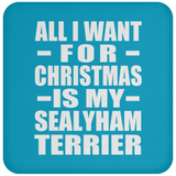 All I Want For Christmas Is My Sealyham Terrier - Coaster