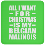 All I Want For Christmas Is My Belgian Malinois - Coaster