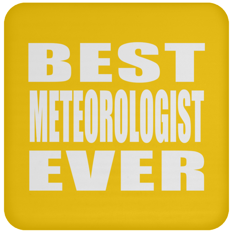 Best Meteorologist Ever - Drink Coaster