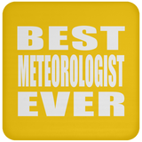 Best Meteorologist Ever - Drink Coaster