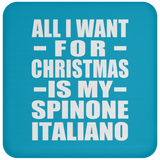 All I Want For Christmas Is My Spinone Italiano - Coaster