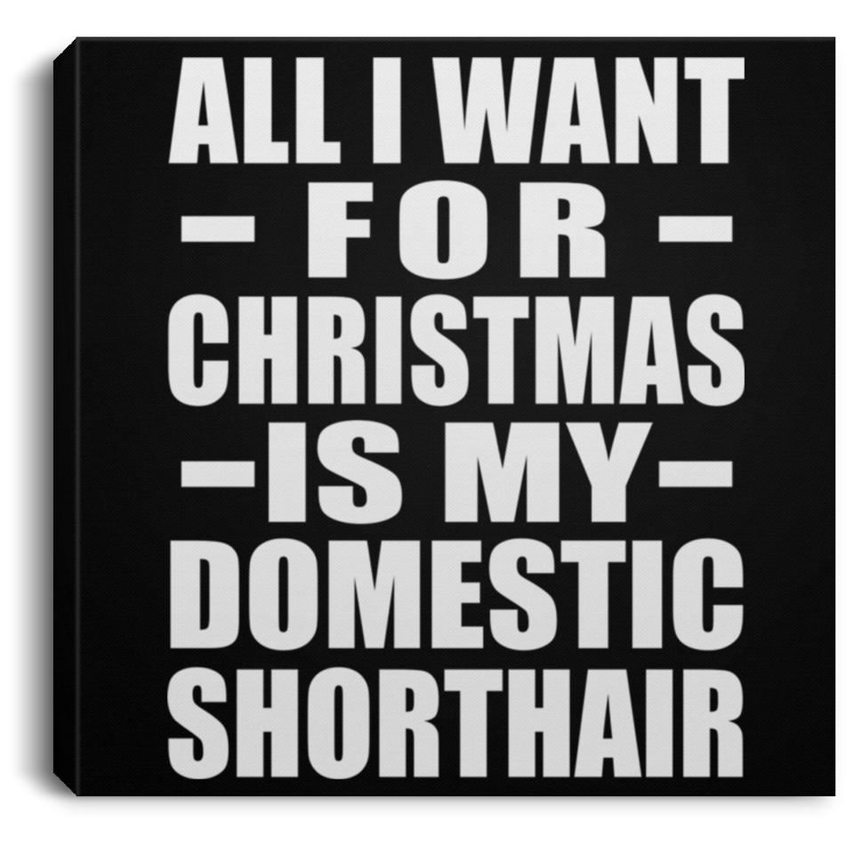 All I Want For Christmas Is My Domestic Shorthair - Canvas Square