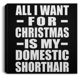 All I Want For Christmas Is My Domestic Shorthair - Canvas Square