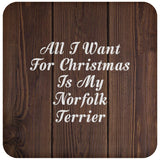 All I Want For Christmas Is My Norfolk Terrier - Drink Coaster D