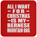 All I Want For Christmas Is My Bernese Mountain Dog - Coaster