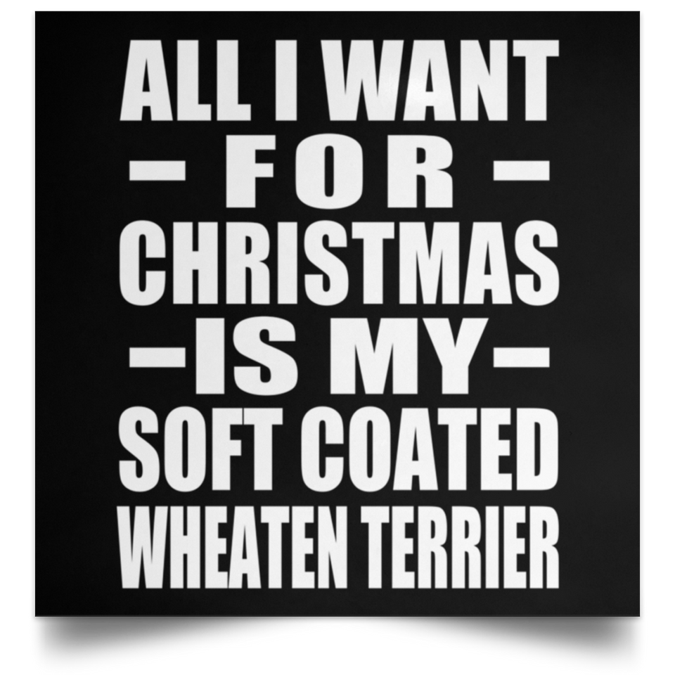 All I Want For Christmas Is My Soft Coated Wheaten Terrier - Poster Square