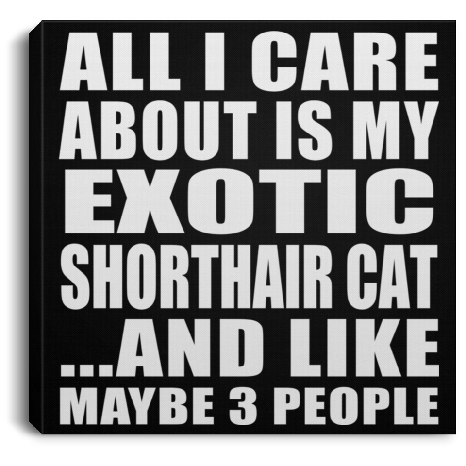 All I Care About Is My Exotic Shorthair Cat - Canvas Square