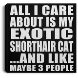 All I Care About Is My Exotic Shorthair Cat - Canvas Square