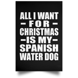 All I Want For Christmas Is My Spanish Water Dog - Poster Portrait