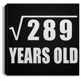 17th Birthday Square Root of 289 Years Old - Canvas Square