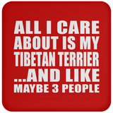 All I Care About Is My Tibetan Terrier - Drink Coaster