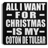 All I Want For Christmas Is My Coton De Tulear - Canvas Square
