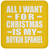 All I Want For Christmas Is My Boykin Spaniel - Coaster
