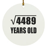 67th Birthday Square Root of 4489 Years Old - Circle Ornament