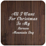 All I Want For Christmas Is My Bernese Mountain Dog - Drink Coaster D