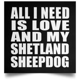 All I Need Is Love And My Shetland Sheepdog - Poster Square