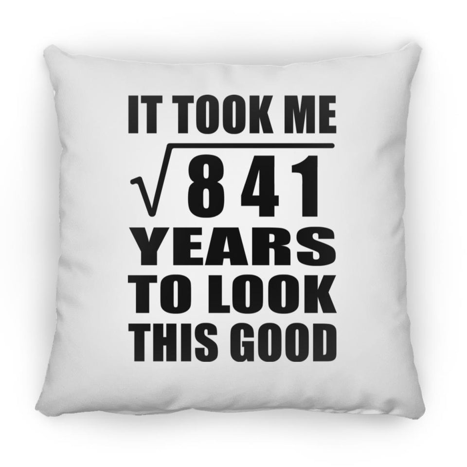 29th Birthday Took Square Root of 841 Years To Look Good - Throw Pillow