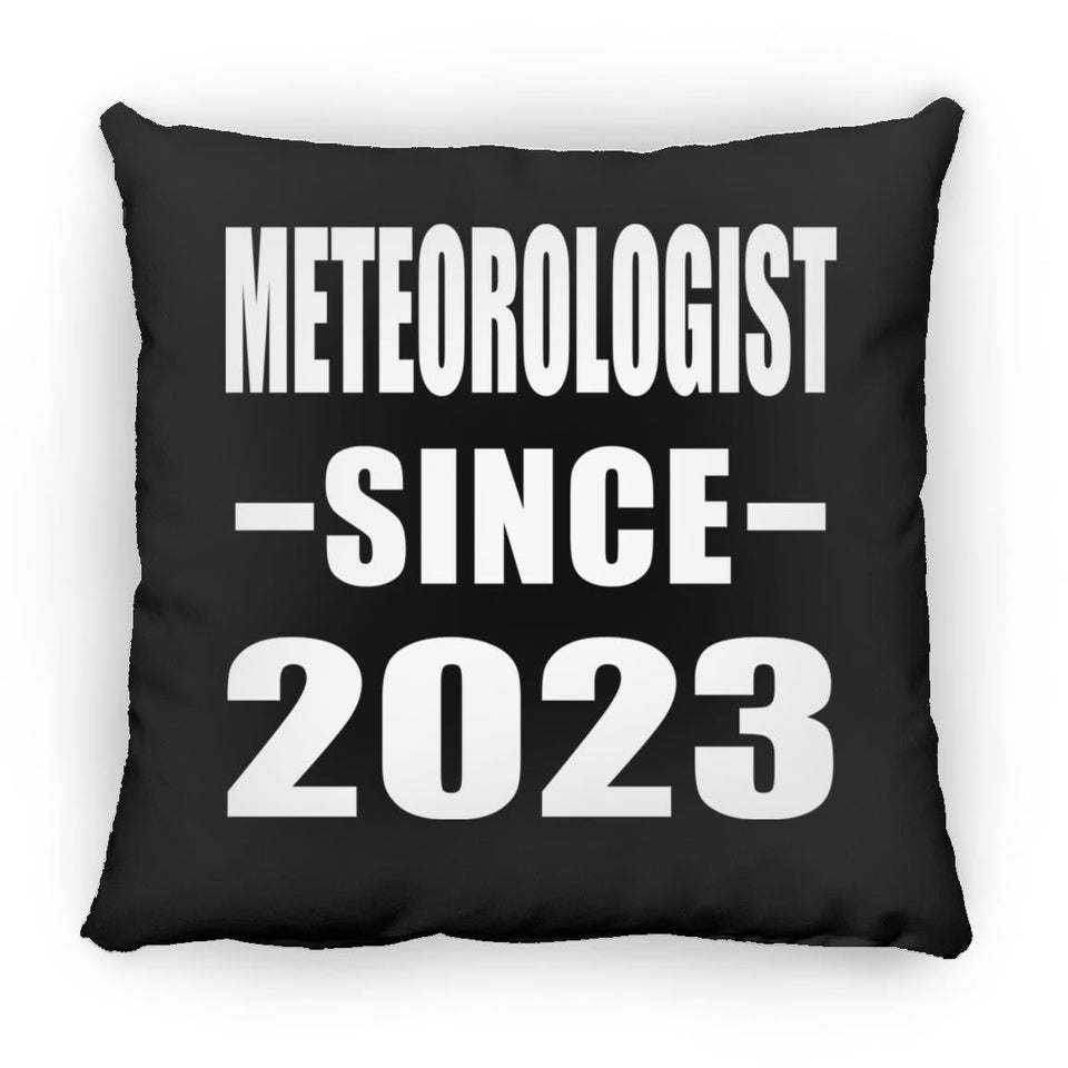 Meteorologist Since 2023 - Throw Pillow Black