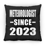 Meteorologist Since 2023 - Throw Pillow Black