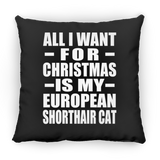 All I Want For Christmas Is My European Shorthair Cat - Throw Pillow Black
