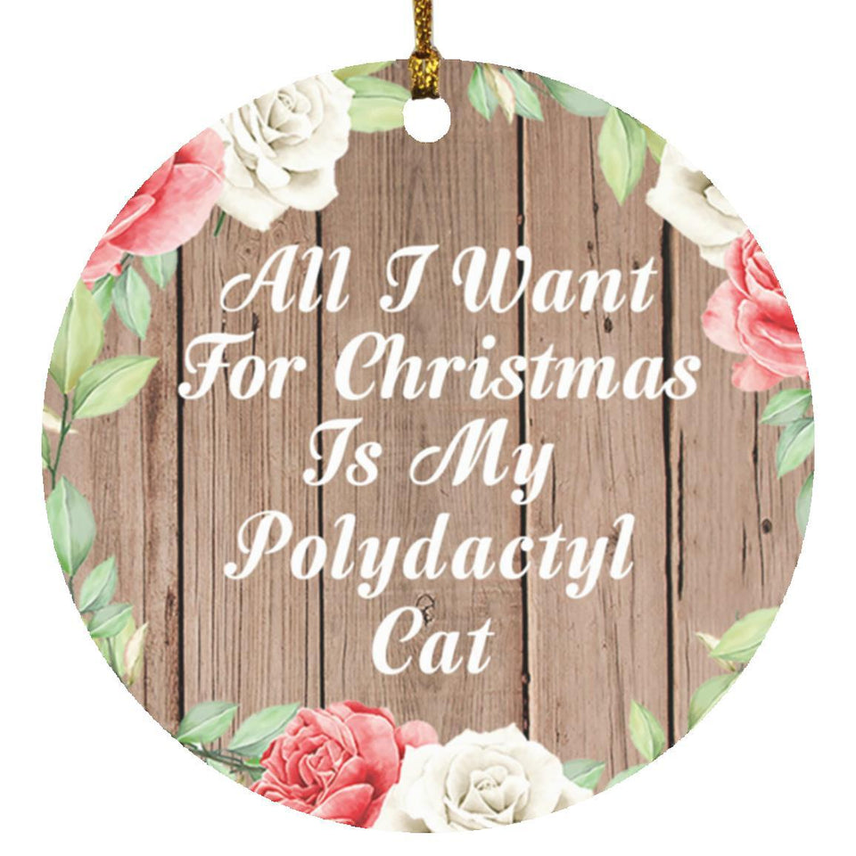 All I Want For Christmas Is My Polydactyl Cat - Circle Ornament B
