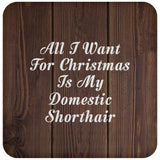 All I Want For Christmas Is My Domestic Shorthair - Drink Coaster D