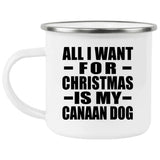 All I Want For Christmas Is My Canaan Dog - 12oz Camping Mug
