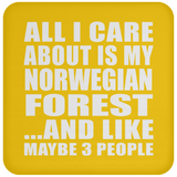 All I Care About Is My Norwegian Forest - Drink Coaster