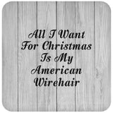 All I Want For Christmas Is My American Wirehair - Drink Coaster F