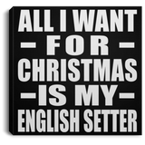 All I Want For Christmas Is My English Setter - Canvas Square