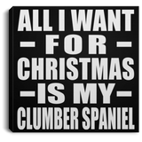 All I Want For Christmas Is My Clumber Spaniel - Canvas Square