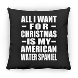 All I Want For Christmas Is My American Water Spaniel - Throw Pillow Black