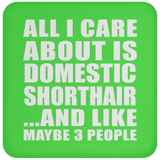 All I Care About Is Domestic Shorthair - Coaster