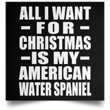 All I Want For Christmas Is My American Water Spaniel - Poster Square